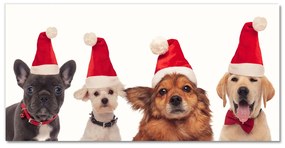 Quadro su vetro acrilico Cani di Babbo Natale Natale 100x50 cm 2 appendini