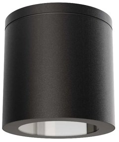 Applique da soffitto IP54 GU10 in Alluminio e Vetro - Nera