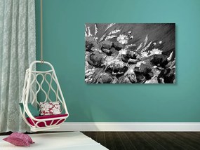 Quadro su tela – Papaveri di campo dipinti in bianco e nero