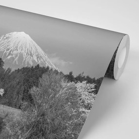 Carta da parati – Monte Fuji in bianco e nero