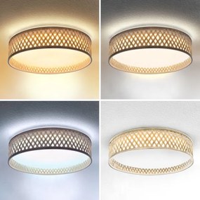 Brilagi - Plafoniera LED dimmerabile CAMILA 48W 230V 3000-6500K + DO