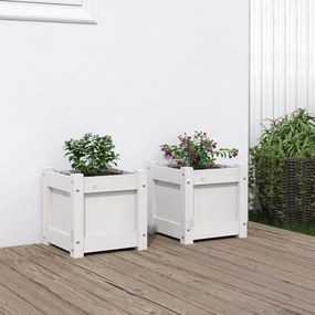 Fioriere Da Giardino 2 Pz Bianche İn Legno Massello Di Pino /