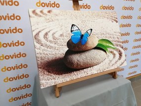 Stampa su tela – Farfalla blu nel giardino Zen
