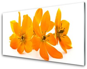 Pannello rivestimento parete cucina Fiori di piante arancioni 100x50 cm