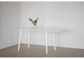 Tavolo da pranzo bianco Lotte Leaf, 120 x 80 cm Lotta - Rowico