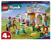 LEGO FRIENDS ADDESTRAMENTO EQUESTRE SCUDERIA CAVALLI CON CAVALLO PONY E 2 MINI BAMBOLINE