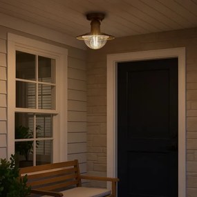 Brilagi - Plafoniera da esterno MOLDE 1xE27/60W IP44 bronzo/patina