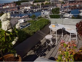 Cuscino per sedia 33x33 cm Disc – Zone