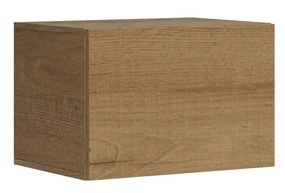 Vasistas L.60 H.40 P.39,2 in Quercia Natura, Bianco Frassino e Noce, Quercia Natura