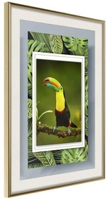 Poster  Toucan in the Frame  Cornice Quadri Cornice d'oro con passe-partout, Larghezza x Altezza Home decor 20x30