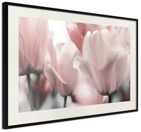 Poster  Pastel Tulips II  Cornice Quadri Cornice nera con pass-partout, Larghezza x Altezza Home decor 45x30