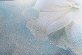 Quadro su tela – Fiore bianco di giglio su sfondo astratto