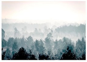 Fotomurale Winter Forest