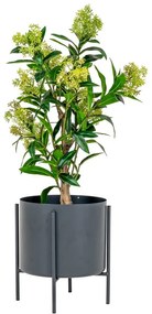 Pianta artificiale Skimmia - House Nordic