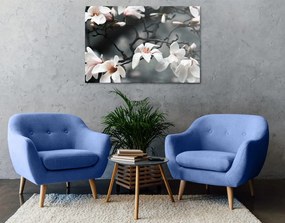 Quadro su tela – Magnolia che si risveglia