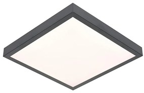 Plafoniera LED VITALI LED/24W/230V