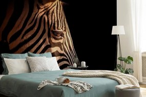 Carta da parati – Ritratto di zebra