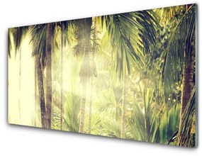 Quadro di vetro Foresta Palme Alberi Natura 100x50 cm