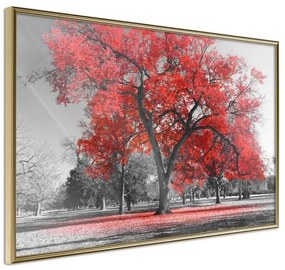 Poster  Red Tree  Cornice Quadri Cornice d'oro, Larghezza x Altezza Home decor 30x20