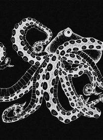 Coordonne Carta da parati panoramica Octopus X-Ray - Black