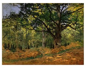 Riproduzione di un dipinto , 70 x 50 cm Claude Monet - The Bodmer Oak, Fontainebleau Forest - Fedkolor
