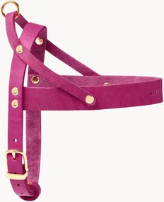 Imbracatura per cani in pelle Classic, varie misure