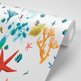 Carta da parati – Bellezze sotto la superficie del mare