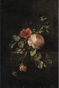 Fotomurale ESTA Fiori, nero 186X280 cm