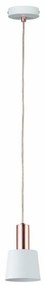 Paulmann 79656 - 1xE14/20W  Lampadario a sospensione con filo NEORDIC HALDAR 230V