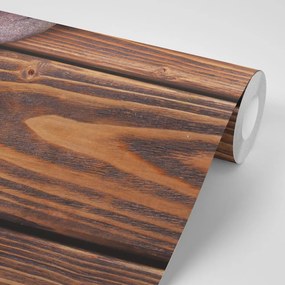 Carta da parati autoadesiva – Pietre wellness su legno