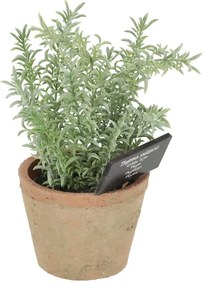 Pianta artificiale (altezza 21,5 cm) Thyme - Esschert Design