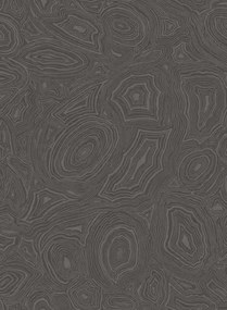 Cole & Son Carta da parati Malachite - Charcoal/ Silver