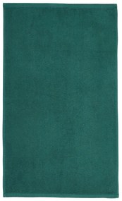 Asciugamano verde in cotone ad asciugatura rapida 120x70 cm Quick Dry - Catherine Lansfield