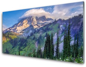 Quadro su vetro acrilico Paesaggio della natura della foresta di montagna 100x50 cm