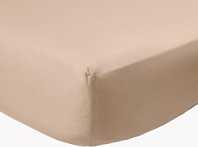 Lenzuolo con angoli in cotone percalle Brown Caffelatte