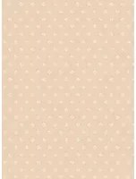 Cole & Son Carta da parati Victorian Star - Plaster Pink