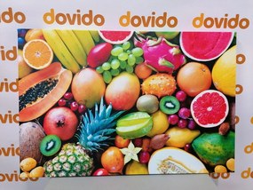 Stampa su tela – Frutta tropicale