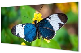 Quadro su vetro Farfalla colorata sui fiori 100x50 cm