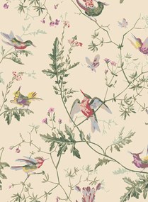 Cole & Son Tapete Hummingbirds - Classic Multi/ Old Olive on Cream