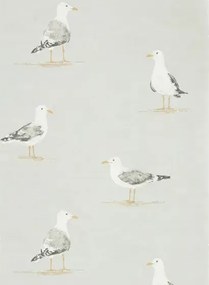 Möwen Tapete Shore Birds von Sanderson - Gull