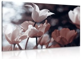 Stampa su tela – Tulipani primaverili nel parco