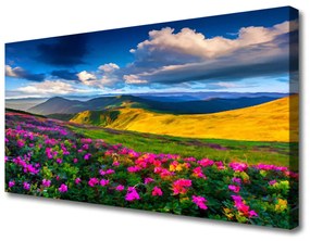 Quadro su tela Prato, fiori, natura 100x50 cm