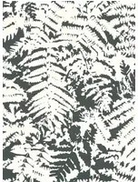 Little Greene Carta da parati Fern - Off Black
