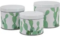 Cofanetti in Latta Cactus Set 3 Pz 15x13,5-14x11,5-12,5x10 cm in Ferro Bianco, Verde