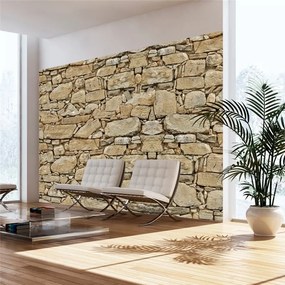 Fotomurale  Muro di pietra  Colore Beige, Dimensioni e Misure 350x245