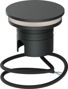 Faro LED interrato da Giardino 6W IP67 24V Luce Radente 360°- Antracite Colore Bianco Caldo 3.000K