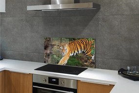 Rivestimento parete cucina Foresta della tigre 100x50 cm