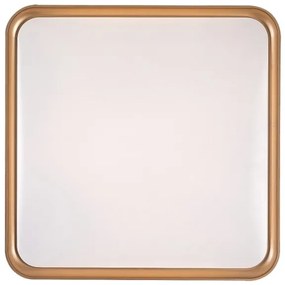 Rabalux 71029 - Plafoniera LED LIATRIS LED/26W/230V 3000K