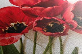 Quadro su tela – Tulipani rossi fioriti