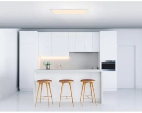 Globo 41604D5 - Pannello LED da superficie ROSI LED/40W/230V